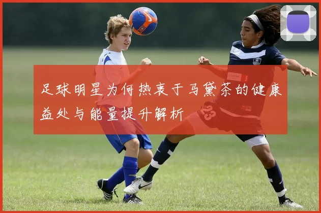 足球明星为何热衷于马黛茶的健康益处与能量提升解析