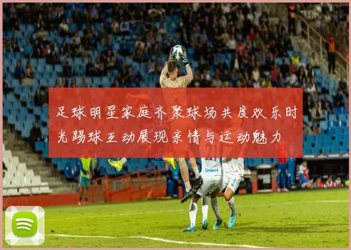 足球明星家庭齐聚球场共度欢乐时光踢球互动展现亲情与运动魅力