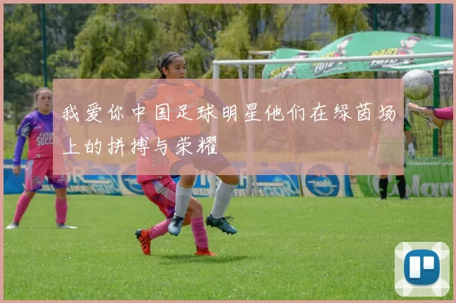 我爱你中国足球明星他们在绿茵场上的拼搏与荣耀